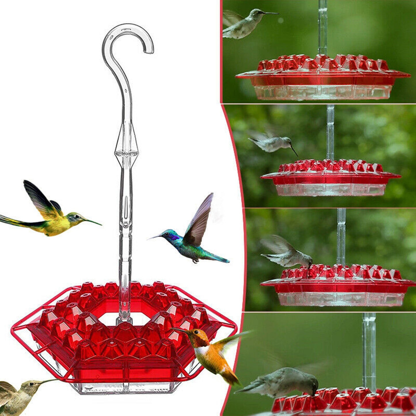 Hexagonal Bird Feeder - Coneflower Design for Gardens & Patios
