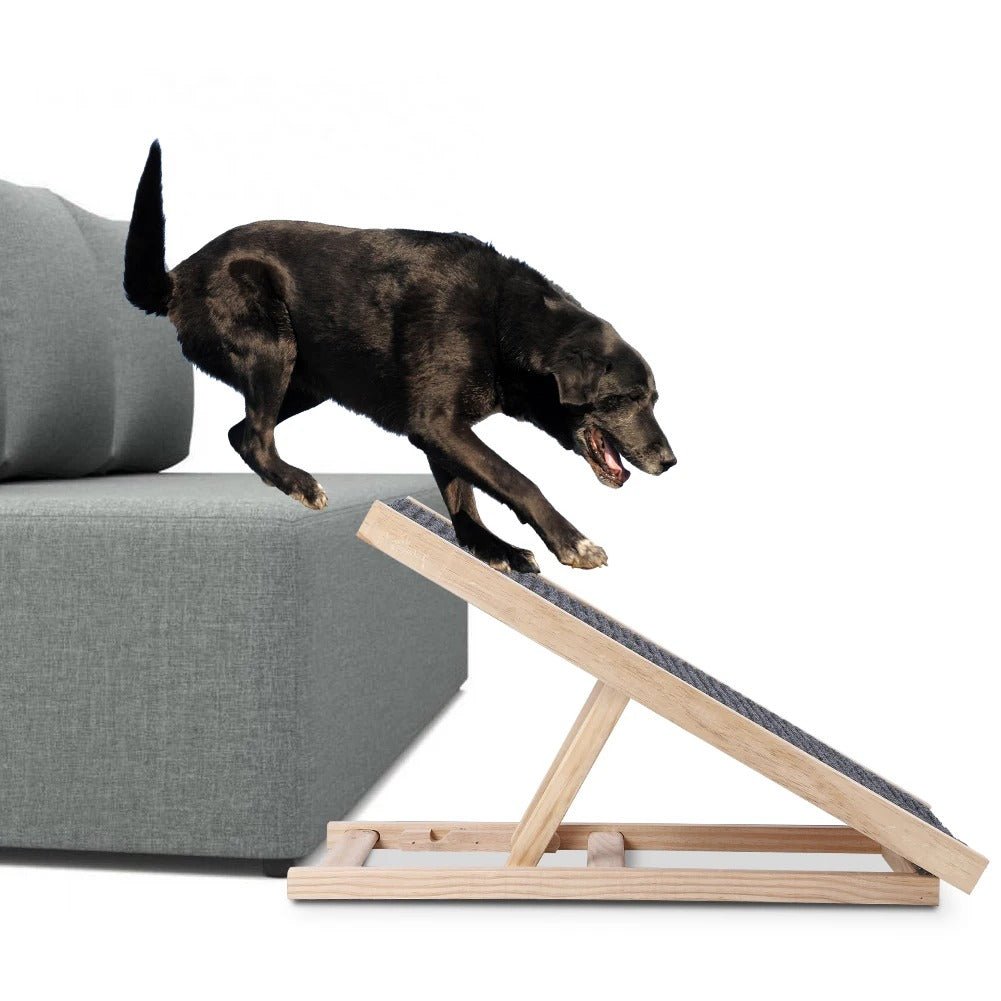 Foldable Dog Ramp for Cars, Beds & Couch – Travel - Ready Access for Pets - Small Pet Homes