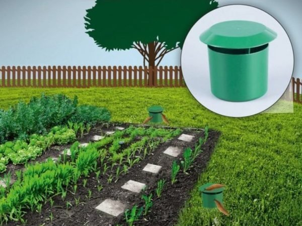 Garden Vegetable Garden Snail Trap - Small Pet Homes