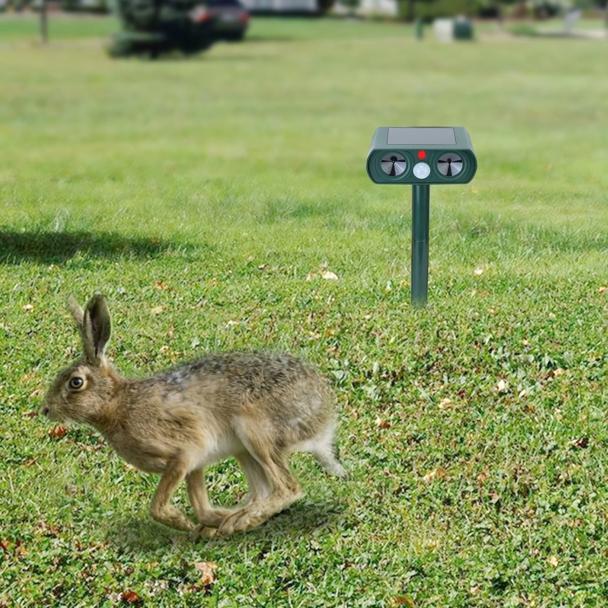 Solar Ultrasonic Outdoor Animal Repellent Device - Small Pet Homes