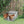25 lbs Automatic Chicken Feeder – Weatherproof Galvanized Steel & Aluminum Poultry Feeder for Outdoor Use - Small Pet Homes