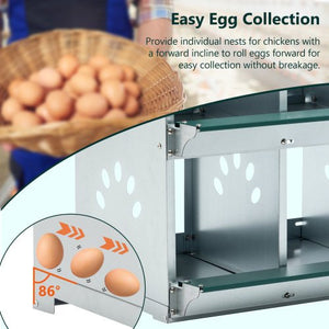 4 - Compartment Metal Chicken Bedding & Nesting Box – Wall - Mounted Galvanized Steel Egg Laying Box, Green - Small Pet Homes
