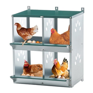 4 - Compartment Metal Chicken Bedding & Nesting Box – Wall - Mounted Galvanized Steel Egg Laying Box, Green - Small Pet Homes