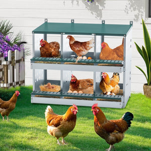 6 - Compartment Roll Away Chicken Nesting Box for Laying Eggs – Galvanized Metal - Small Pet Homes