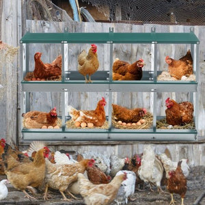 8 - Compartment Metal Chicken Bedding & Nesting Boxes – Wall - Mounted Galvanized Steel Egg Laying Box with Ventilation - Small Pet Homes