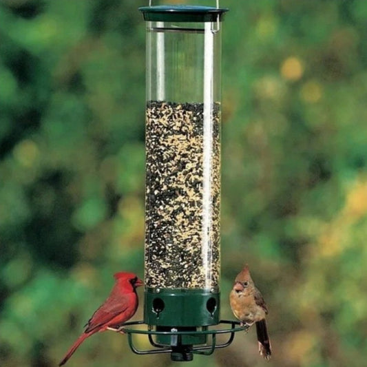 Metal Hummingbird Feeder with Cage