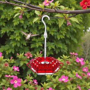 Ant and Bee Proof Hummingbird and Bird Feeder - Small Pet Homes
