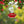 Ant and Bee Proof Hummingbird and Bird Feeder - Small Pet Homes