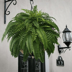 Artificial Fern Flower Arrangement Green Plant Plastic Crafts - Small Pet Homes