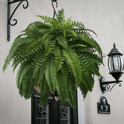 Artificial Fern Flower Arrangement Green Plant Plastic Crafts - Small Pet Homes