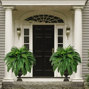 Artificial Fern Flower Arrangement Green Plant Plastic Crafts - Small Pet Homes