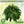Artificial Fern Flower Arrangement Green Plant Plastic Crafts - Small Pet Homes