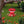 Bee - Proof Hummingbird Feeder – Outdoor Hanging Feeder with Perch & Leak - Free Design - Small Pet Homes