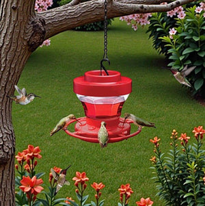 Bee - Proof Hummingbird Feeder – Outdoor Hanging Feeder with Perch & Leak - Free Design - Small Pet Homes