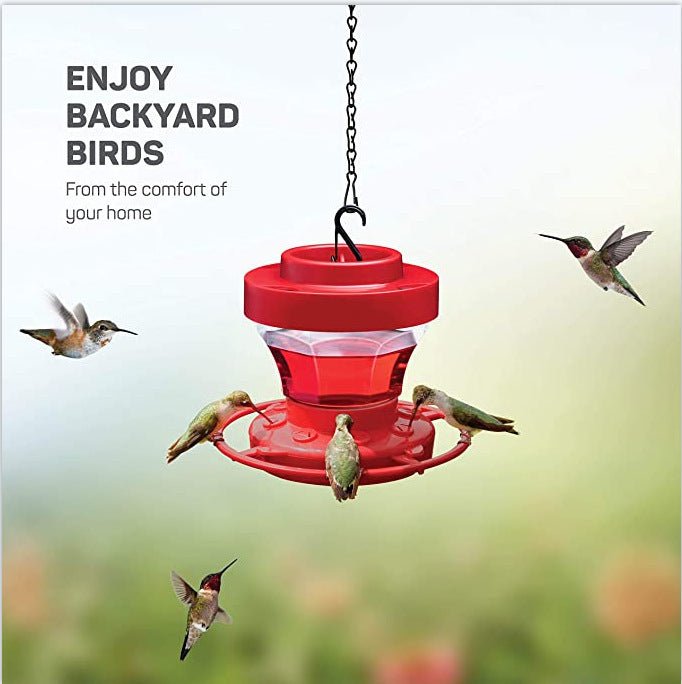 Bee - Proof Hummingbird Feeder – Outdoor Hanging Feeder with Perch & Leak - Free Design - Small Pet Homes
