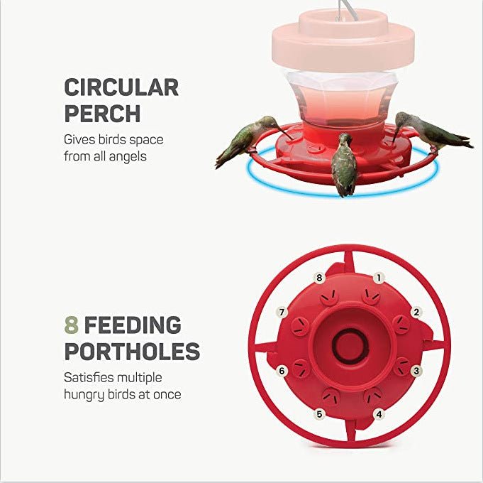 Bee - Proof Hummingbird Feeder – Outdoor Hanging Feeder with Perch & Leak - Free Design - Small Pet Homes