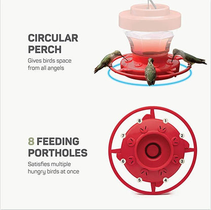 Bee - Proof Hummingbird Feeder – Outdoor Hanging Feeder with Perch & Leak - Free Design - Small Pet Homes