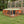Extra Large Wooden Rabbit Hutch - Spacious, Weather - Resistant with Non - Slip Ramps in Caramel Wood - Small Pet Homes