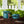 Garden Vegetable Garden Snail Trap - Small Pet Homes