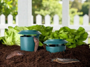 Garden Vegetable Garden Snail Trap - Small Pet Homes