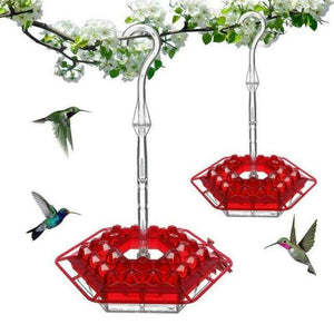 Hexagonal Bird Feeder - Coneflower Design for Gardens & Patios - Small Pet Homes