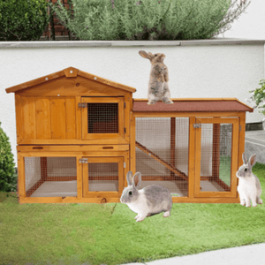 Indoor & Outdoor 2 - Level Rabbit & Chicken Enclosure – Wooden Bunny & Hen House - Small Pet Homes