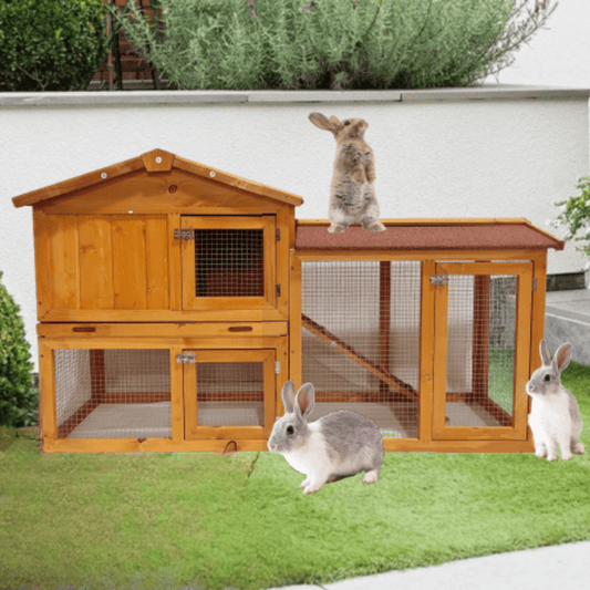 Indoor & Outdoor 2 - Level Rabbit & Chicken Enclosure – Wooden Bunny & Hen House - Small Pet Homes