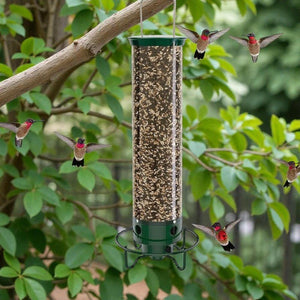 Metal Hummingbird Feeder with Cage - Small Pet Homes
