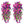 Morning Glory Wall Hanging Rattan Decorative Outdoor - Small Pet Homes