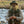 Outdoor Anti - Mosquito Fishing Hat - Small Pet Homes