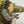 Outdoor Anti - Mosquito Fishing Hat - Small Pet Homes