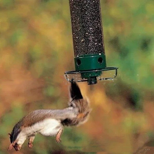 Outdoor Courtyard Hanging Hummingbird Water Feeder - Small Pet Homes