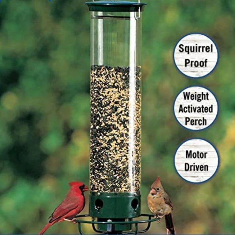 Outdoor Courtyard Hanging Hummingbird Water Feeder - Small Pet Homes