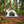 Outdoor Portable Camping Fully Automatic Quick - opening Tent - Small Pet Homes