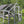 Extra Large 110” Outdoor Cat Catio with Walkways, Roof & Sleeping Areas – Large Wooden Enclosure for Garden or Backyard