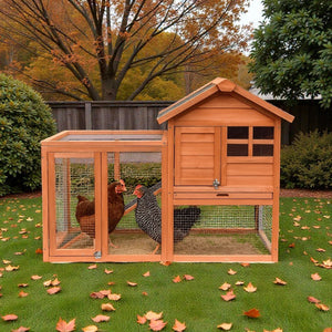 Small Wooden Chicken Pen – Cozy, Secure and Portable Hen Coop and Run - Small Pet Homes
