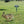 Solar Ultrasonic Outdoor Animal Repellent Device - Small Pet Homes