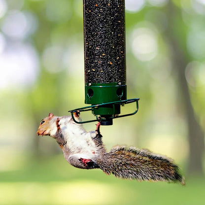 Spinning Squirrel Proof Bird & Hummingbird Feeder - Small Pet Homes