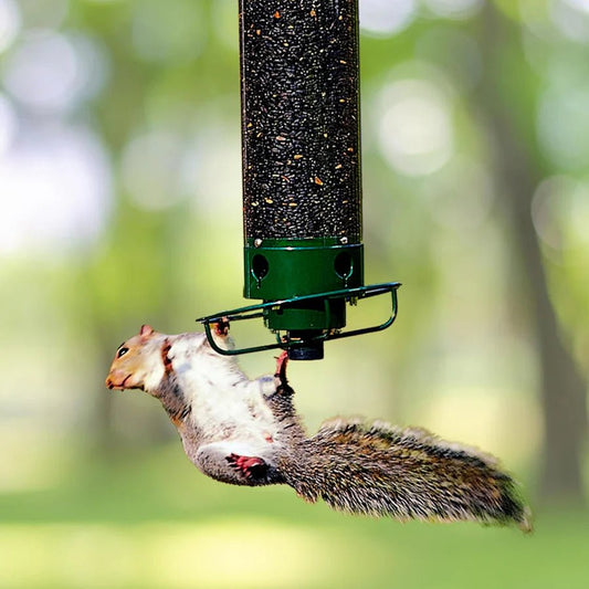Spinning Squirrel Proof Bird & Hummingbird Feeder - Small Pet Homes