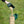 Spinning Squirrel Proof Bird & Hummingbird Feeder - Small Pet Homes